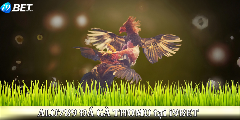 alo789-da-ga-thomo-tai-i9bet