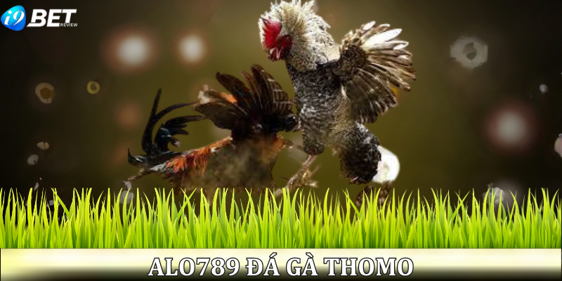 alo789-da-ga-thomo